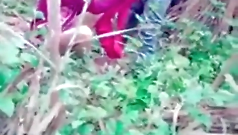 Jungle Mein Chudai Mms