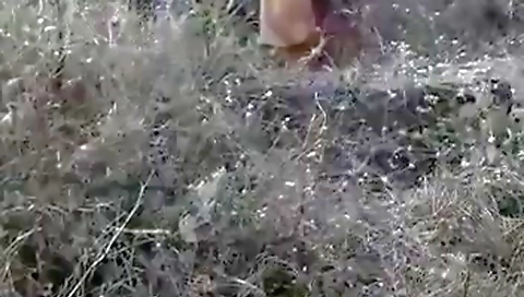 Local Randi Outdoor Fucking