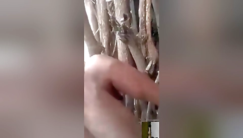 Desi Indian Village Girl Outdoor Mms Video