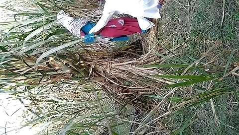 Indian Village Bhabhi Outdoor Fucking