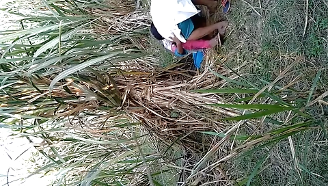 Indian Village Bhabhi Outdoor Fucking