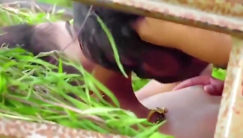 Horny Sexy Bhabhi Has Risky Outdoor Sex