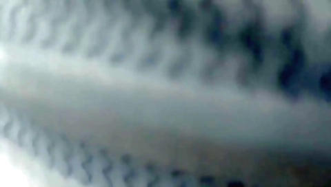 Desi Hot After The School Desi Girl Jungle Sex