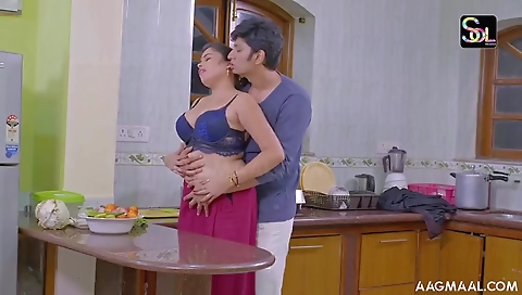 Beautiful House Maid 2024 Hindi Hot Web Series Soltalkies