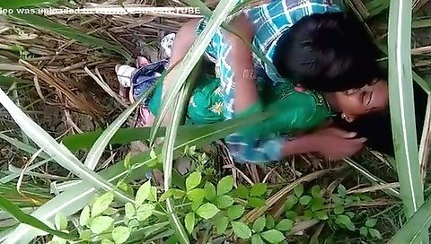 Dehati Lovers Having Sex In A Grass Field