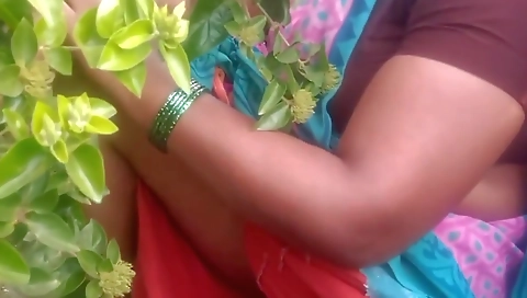 Indian Beauty Boobs Aunty Porn Video