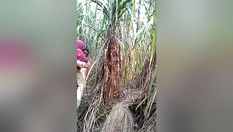 Today Exclusive- Village Lover Outdoor Fucking 1