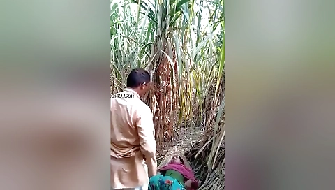 Today Exclusive- Village Lover Outdoor Fucking 1