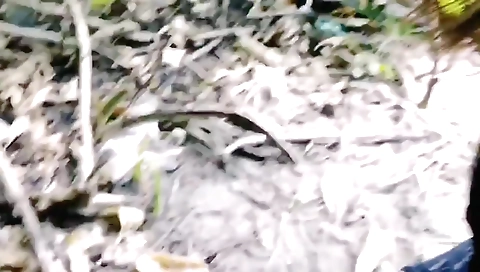 Outdoor Sex In Sashivindya With Desi Indian And Sri Lankan