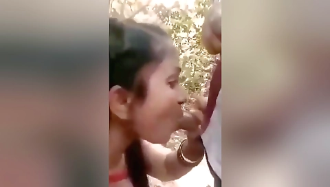 Desi Outdoor Romance And Blowjob With Devar Bhabhi