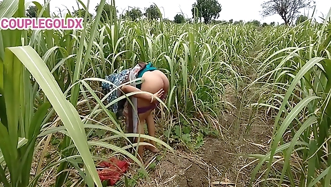 Komal Fuck By Malik While Working In The Field