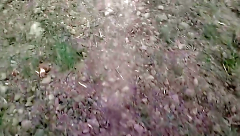 Deshi Girls Fucking In Outdoor Field