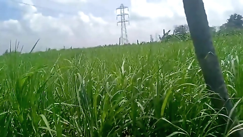 Tamil Housewife Big Boobs Show In Village House