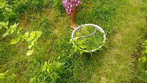 Ghas Kat Rahi Bhabhi Ko Ghar Mein Le Jakar Gand Mari