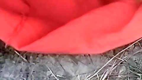 Bangla Desi Local Village Videos