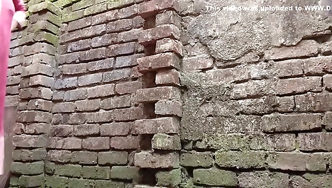 Room Rent Visit Becomes Wild Day