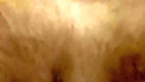 Bhabi Called Me To The Jungle To Fuck Her