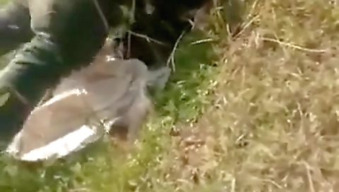 Village Desi Kama Xxx Outdoor Fucking