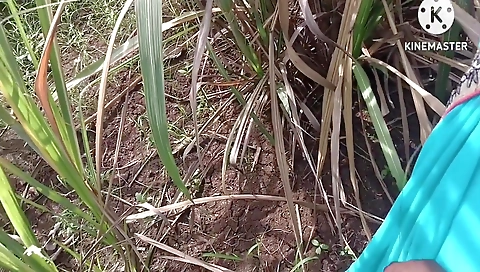 Marathi Wife Fast Time Outdoors Fucking