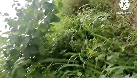 Marathi Wife Fast Time Outdoors Fucking