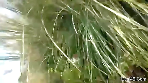 Today Exclusive- Desi Randi Bhabhi Out Door Sex With Customer