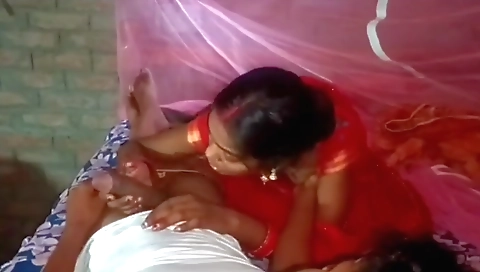Desi Husband And Wife Sex In Hindi Video