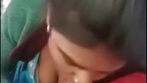 Indian Truck Driver Sex Video