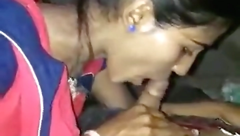 Dehati Blowjob Village Sex